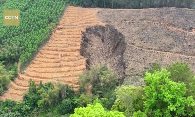 Caixa-preta de avião que caiu na China é encontrada