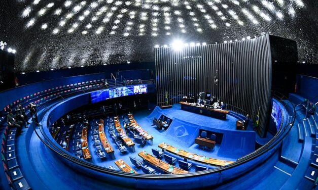 Pauta do Senado na próxima semana terá foco nos direitos da mulher
