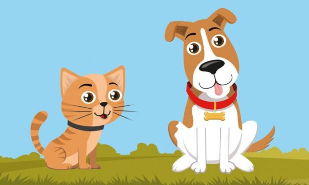 Enquete online vai definir nome para mascotes da Causa Animal