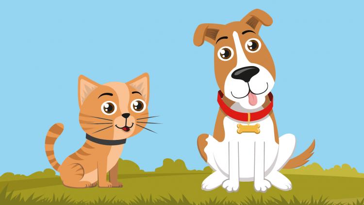 Enquete online vai definir nome para mascotes da Causa Animal