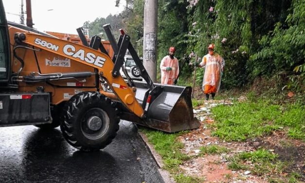 Mutirão recolhe cerca de 20 toneladas de resíduos no bairro Teresópolis, em Porto Alegre