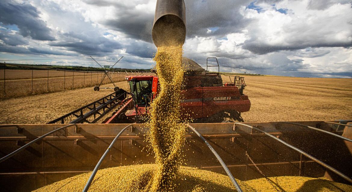 Produção agrícola deve chegar a 269,3 milhões de toneladas, diz Conab