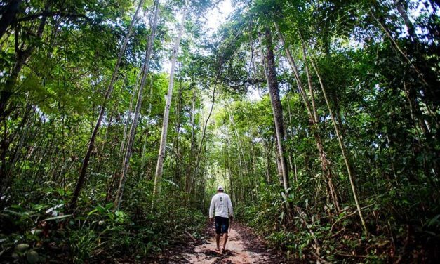 CMA busca informações sobre situação de fundo da biodiversidade