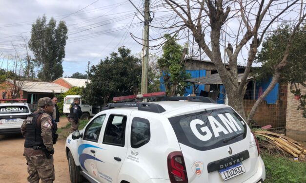 Guardas municipais de Gravataí prendem homem por maus-tratos a animais