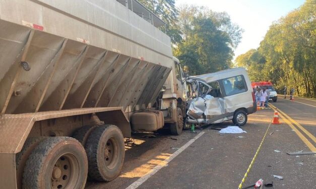 Motorista de caminhão que colidiu contra van afirma que dormiu ao volante