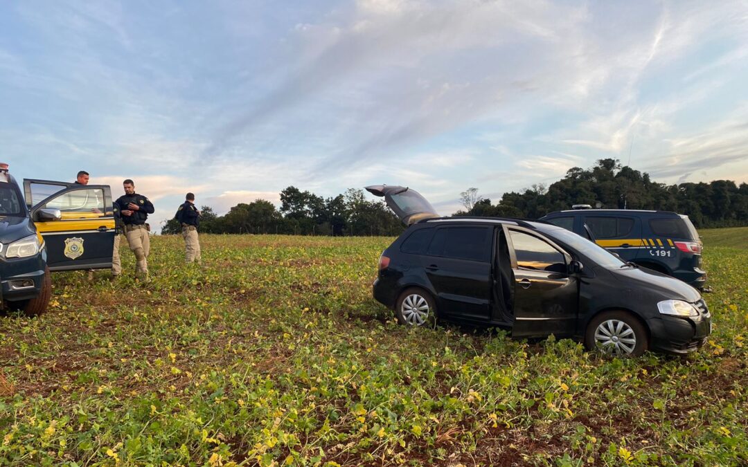 Dois homens com carro carregado com mais de meia tonelada de agrotóxicos ilegais são presos no Norte do Estado