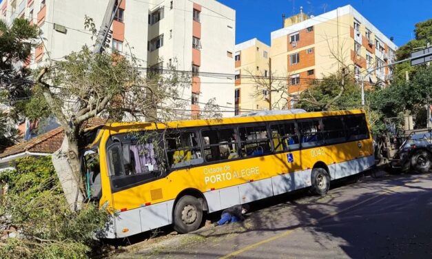 Ônibus bate em poste e árvore em Porto Alegre