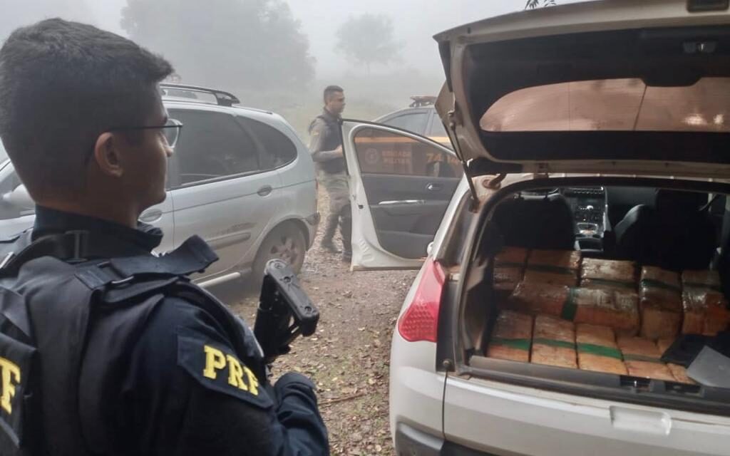 Quadrilha é presa com maconha, carro roubado, arma e galos de rinha