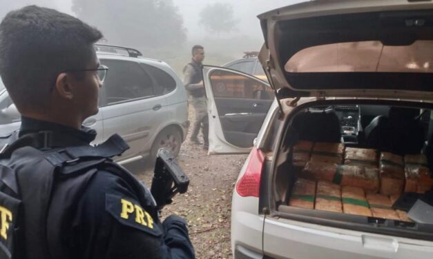 Quadrilha é presa com maconha, carro roubado, arma e galos de rinha