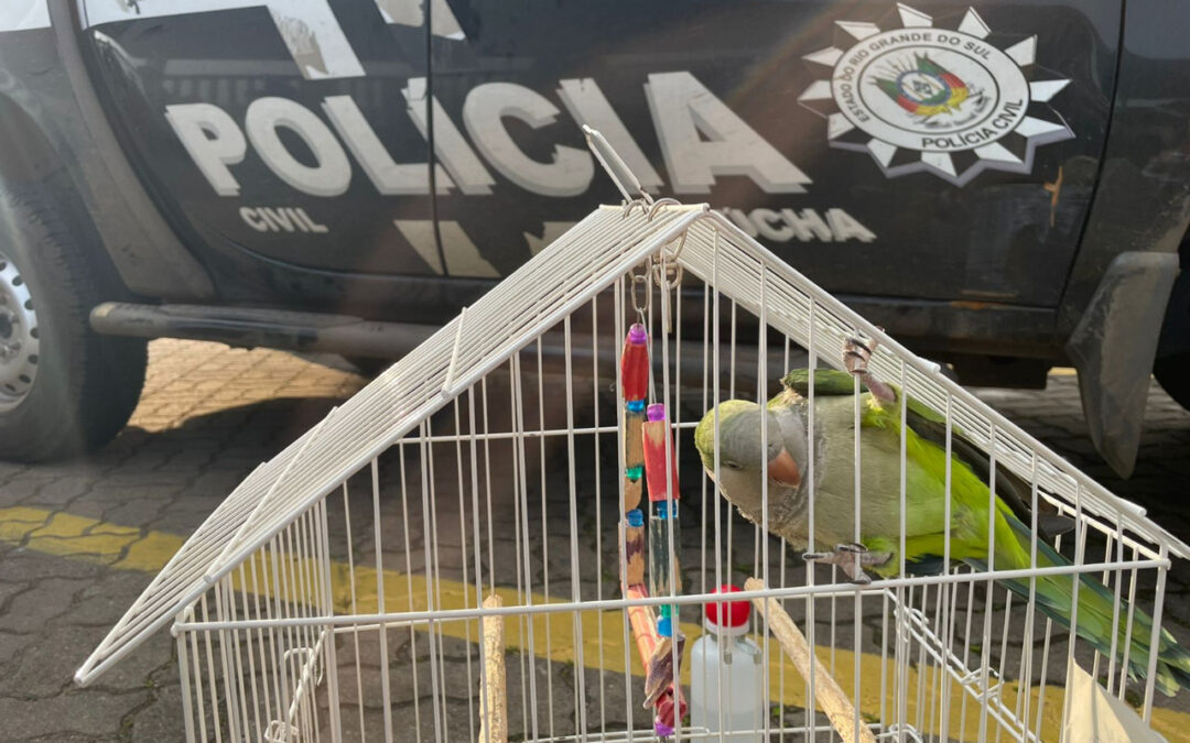 Operação contra maus-tratos a animais no RS