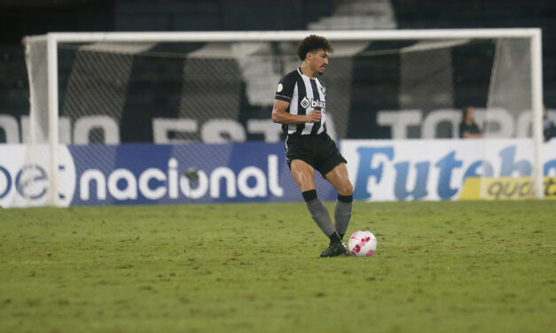 Botafogo possui uma das piores campanhas como mandante no Brasileirão