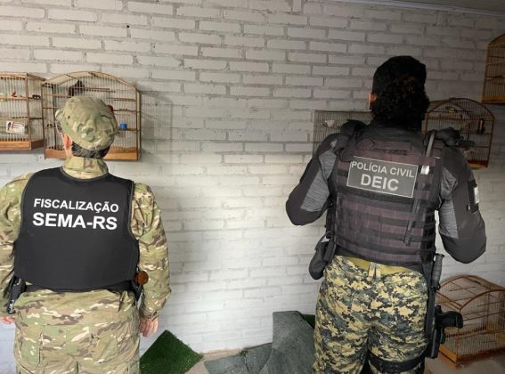 Operação da Polícia Civil investiga crimes contra a fauna