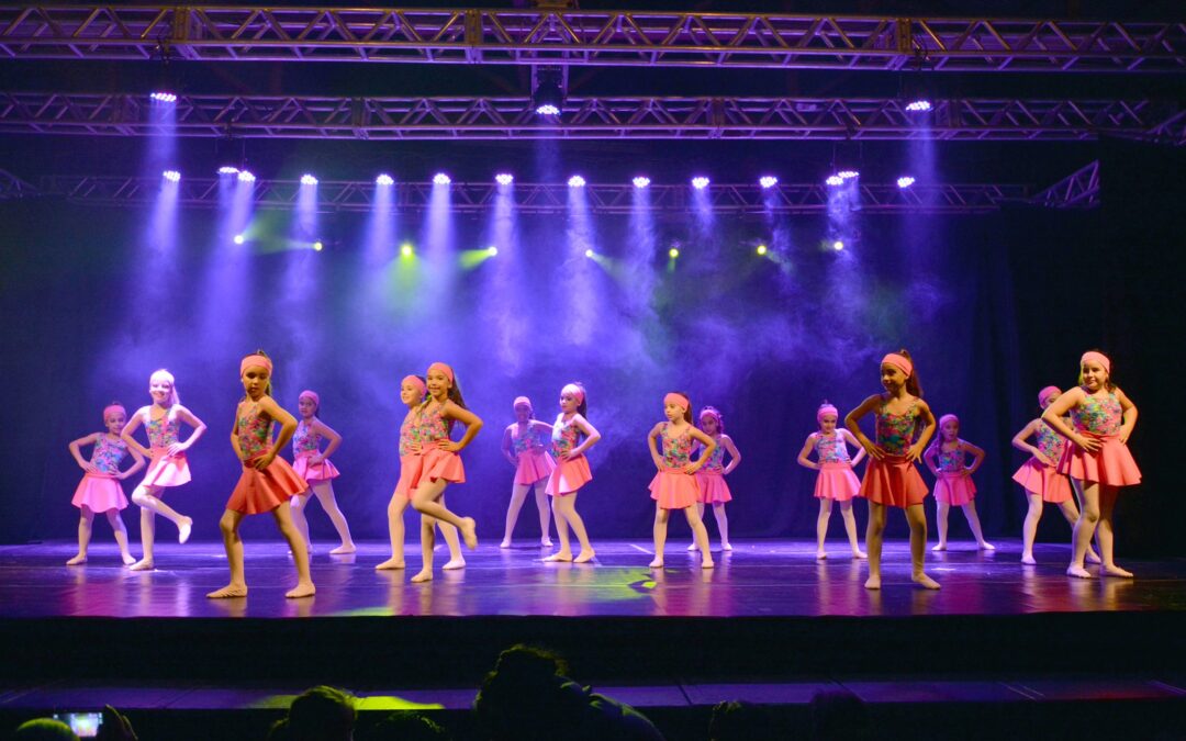 Festival Dança Bom Retiro divulga regulamento