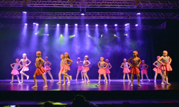 Festival Dança Bom Retiro divulga regulamento