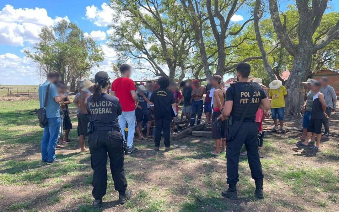 Sobe para 82 o número de trabalhadores resgatados em fazendas de arroz em Uruguaiana