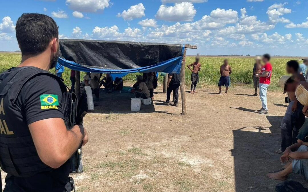 MPT e PRF resgatam 56 pessoas de condições análogas à escravidão em Uruguaiana