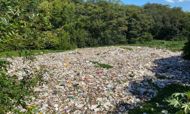 Brasil produziu uma média de 64 quilos de lixo plástico por pessoa em 2022