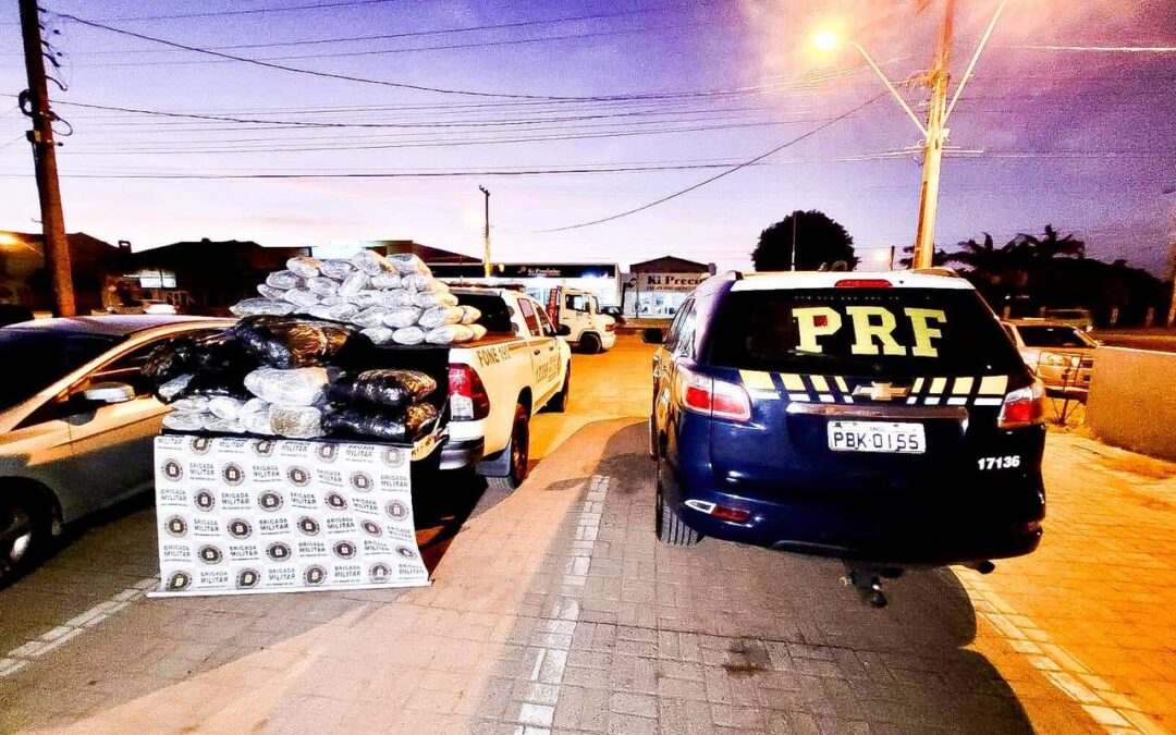 Operação conjunta entre BM e PRF apreende 64 quilos de Skunk em Tramandaí