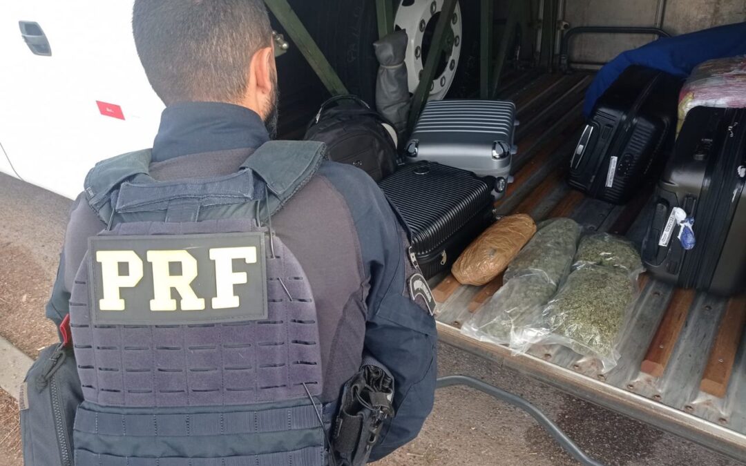 Polícia prende passageiro de ônibus com Skunk em Bagé