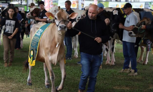 Fenasul Expoleite 2023 termina com grande presença de público