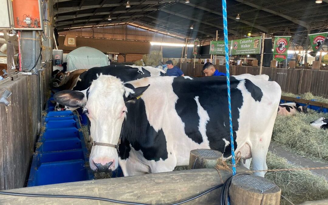 Começam amanhã a 17ª Fenasul e a 44ª Expoleite em Esteio
