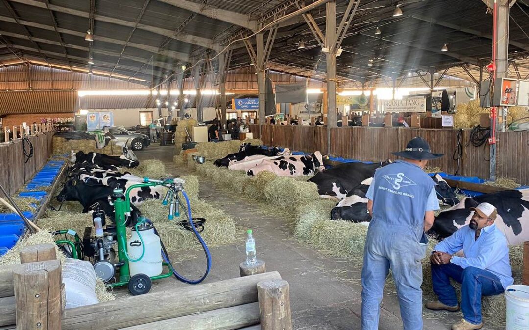 Expectativa entre os expositores marca o primeiro dia de Fenasul