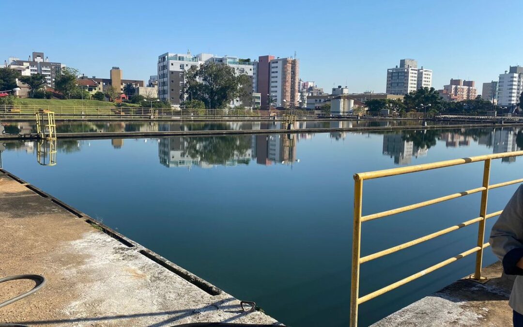 Plantas aquáticas se acumulam na orla do Guaíba, em Porto Alegre.