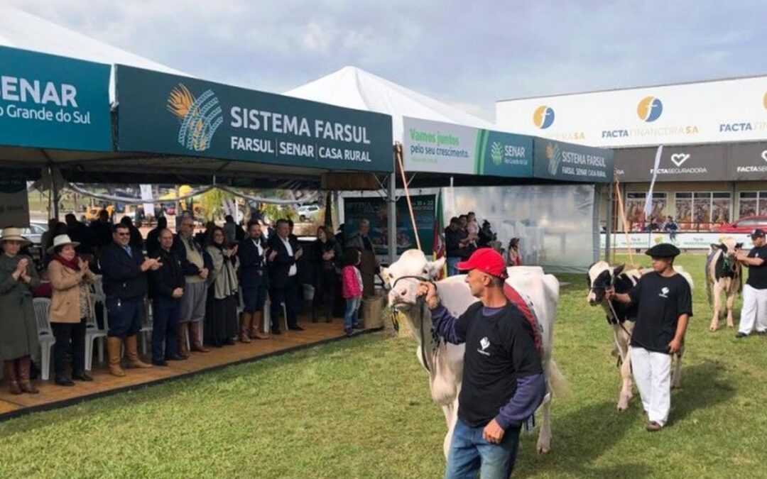 Fenasul começa na próxima semana com atrações para todos os públicos