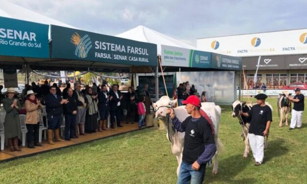 Fenasul começa na próxima semana com atrações para todos os públicos