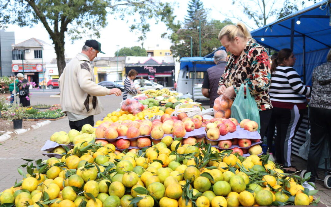 Feira Modelo de Gravataí tem novo endereço