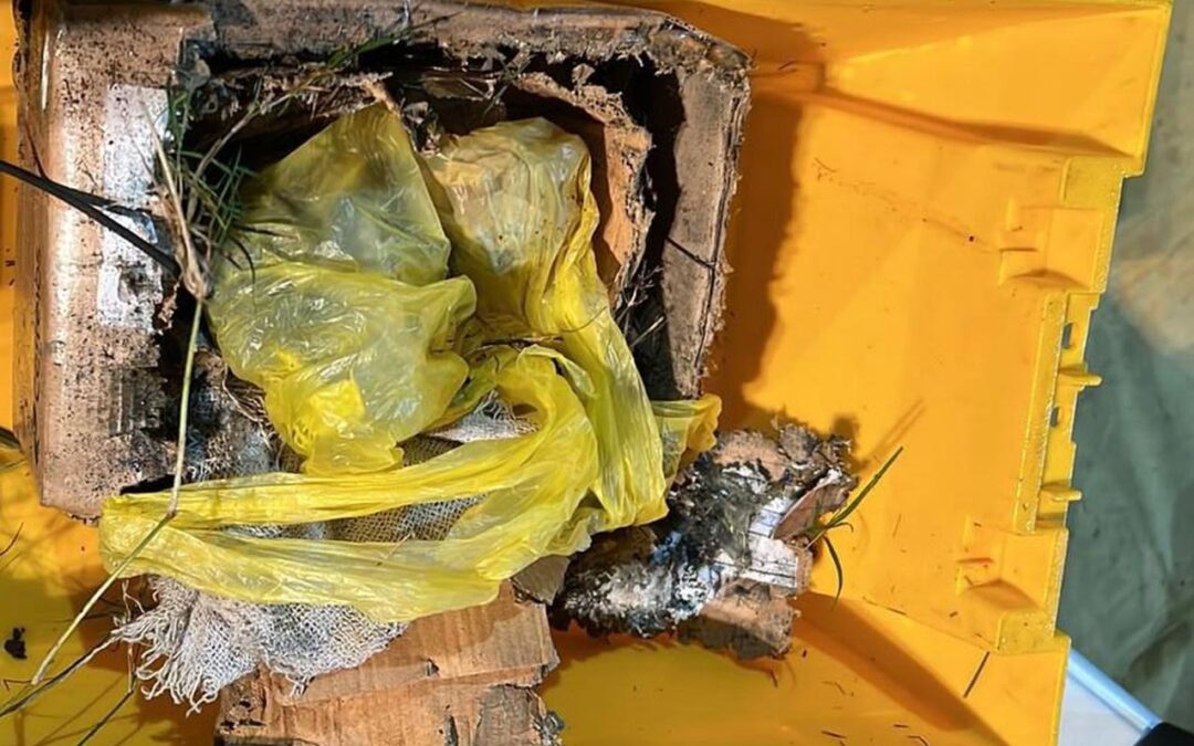 Equipe do Grupo de Bombas e Explosivos neutraliza artefato explosivo nos correios na capital
