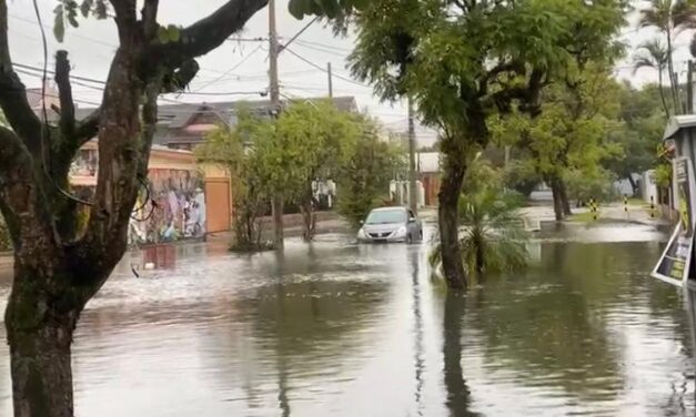 Secretaria da Saúde alerta para risco de contaminação por leptospirose após temporal