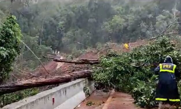 “Ventos tão fortes quanto os do mês passado, mas em uma área maior”, alerta Defesa Civil sobre novo ciclone