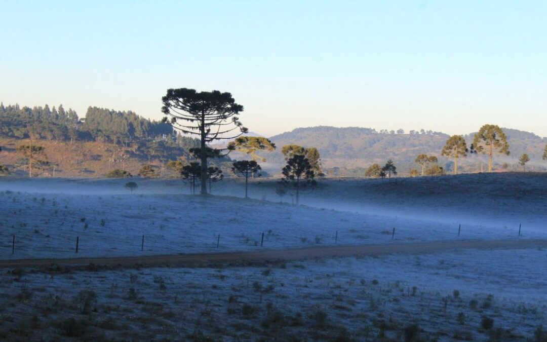 Umidade vai prevalecer no inverno do Rio Grande do Sul