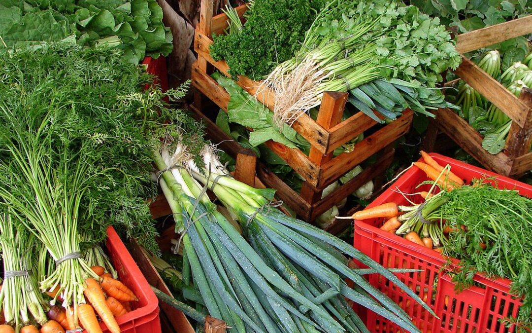 Câmara aprova recriação de Programa de Aquisição de Alimentos