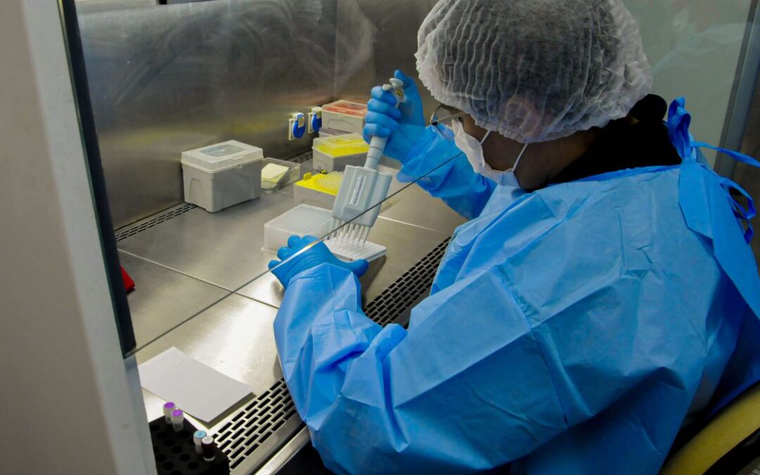 Novo remédio para hepatite C poderá baixar custo do tratamento no SUS