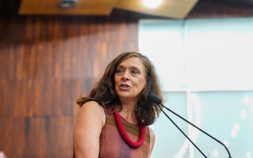 Deputada Sofia Cavedon denuncia a extinção da Educação Infantil no Instituto de Educação