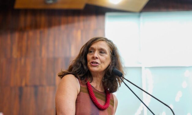 Deputada Sofia Cavedon denuncia a extinção da Educação Infantil no Instituto de Educação