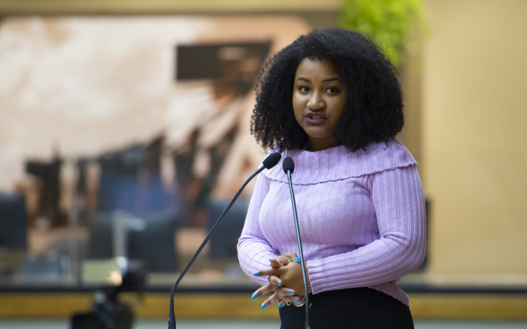 Porto Alegre debate Projeto de Lei para Substituição de Monumentos Ligados à Escravidão por Homenagens a Figuras Históricas Negras e Indígenas
