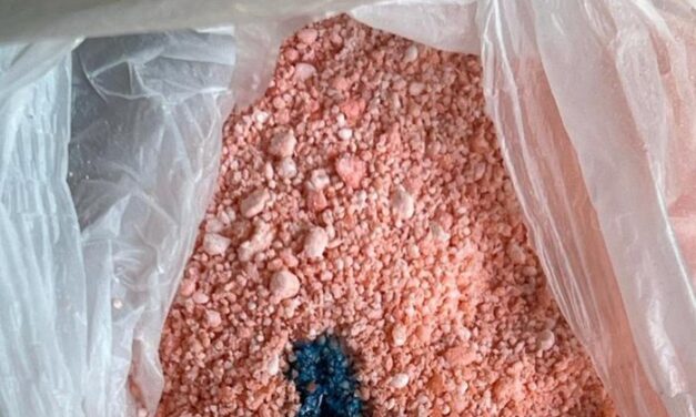 Polícia Civil realiza apreensão histórica de cocaína Cor-de-Rosa em ação no Vale do Caí