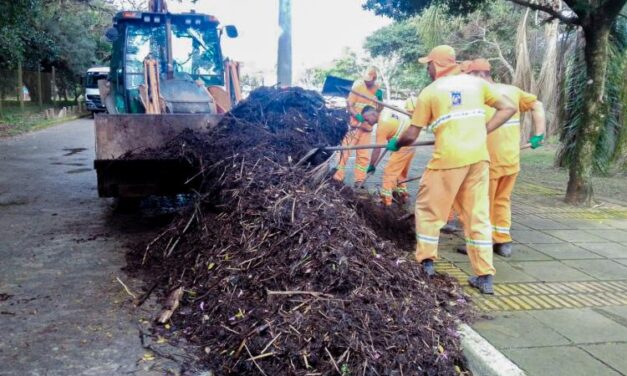 DMLU retira 258 toneladas de resíduos em limpeza na Orla do Lami