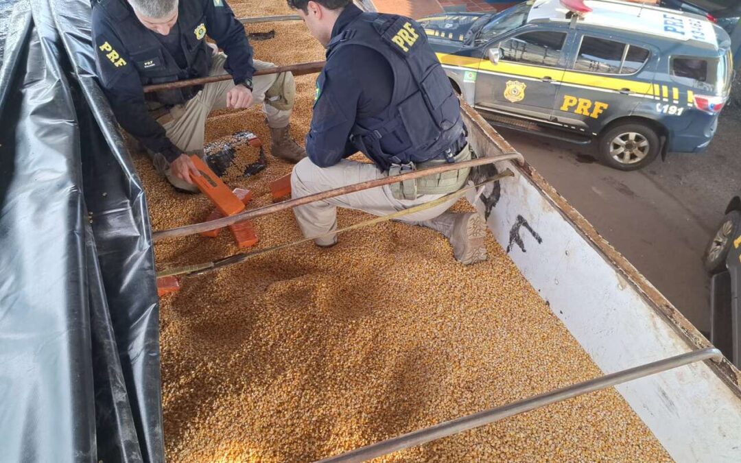 PRF apreende mais de uma tonelada de maconha escondida no meio de carga de milho
