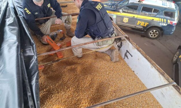 PRF apreende mais de uma tonelada de maconha escondida no meio de carga de milho
