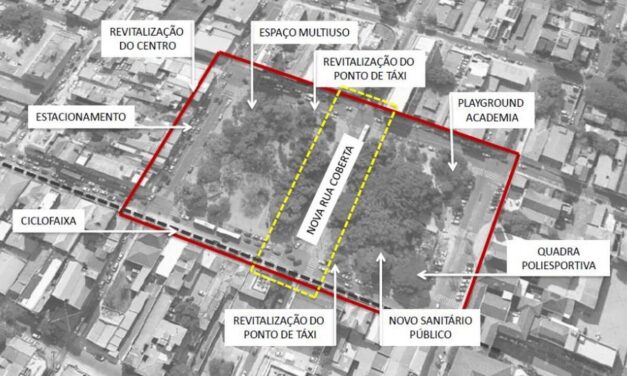 Prefeitura de Gravataí anuncia o plantio de novas árvores no Centro