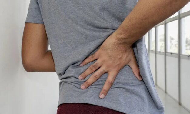 Dor nas costas: veja as principais causas e como reduzir os riscos