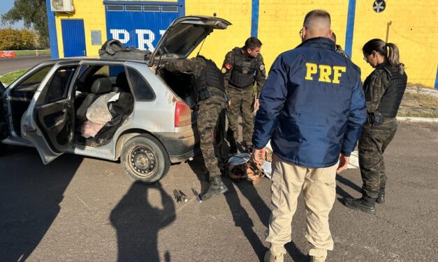 PRF e BM prendem homem com 280 kg de carne de capivara