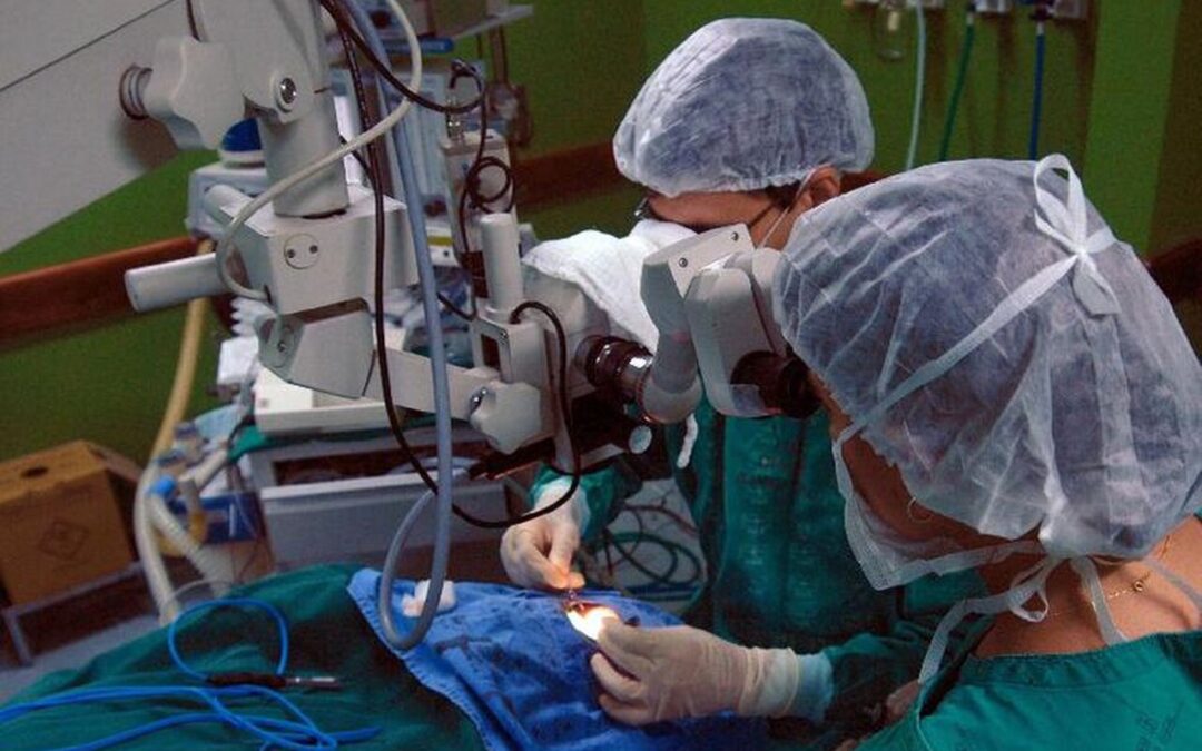 Faustão: por que a insuficiência cardíaca pode levar à necessidade de transplante?