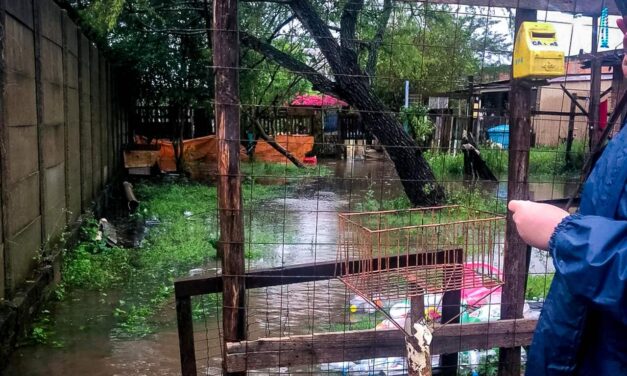 Projeto de Lei busca auxiliar porto-alegrenses mais afatados pela enchente