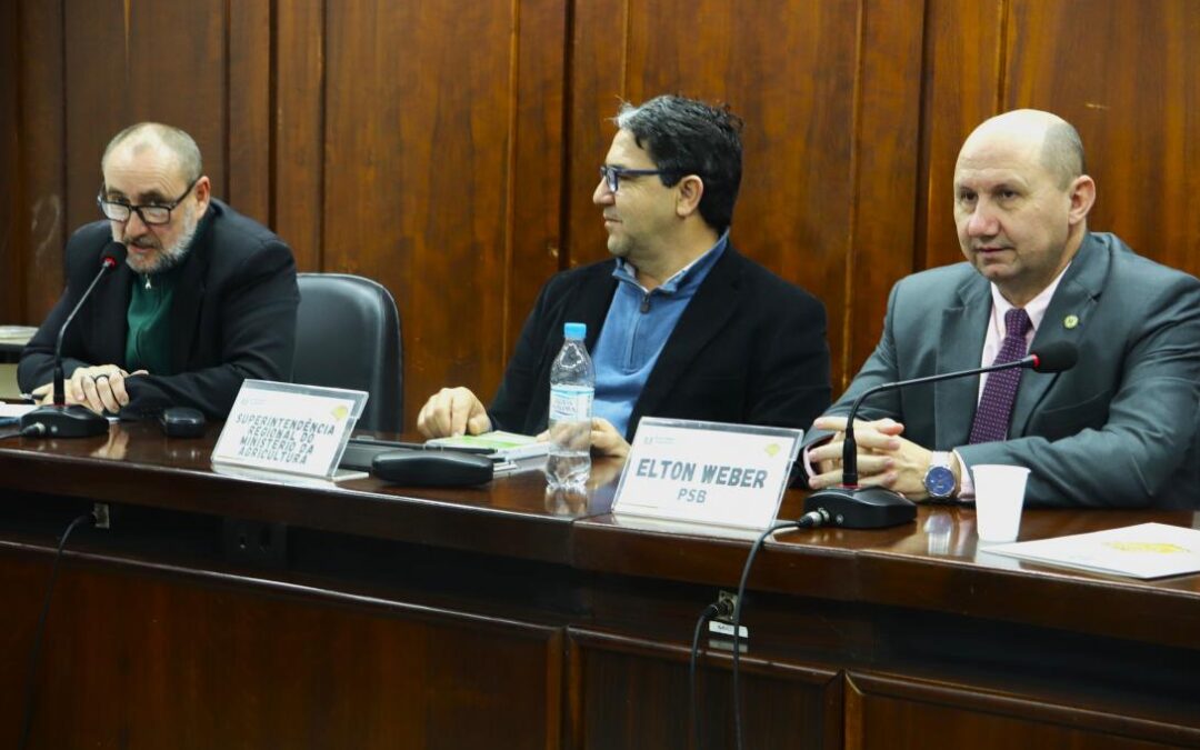 Deputado cobra informações sobre vinda da comitiva do governo federal ao RS para avaliar danos causados por enchentes