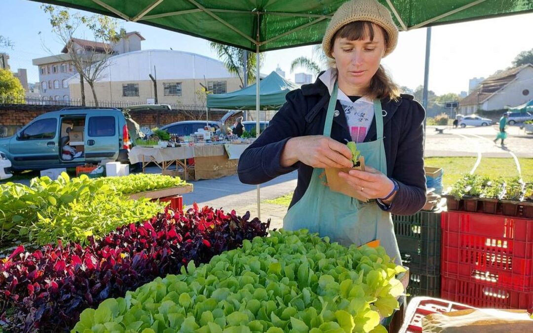 Caxias do Sul terá Festival da Primavera no sábado